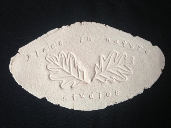 Place In Nature Studios